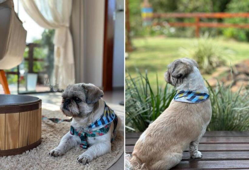 旅馆 Pousada Luz Da Lua