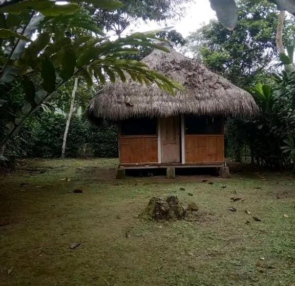 Hostel Seke Sonachun