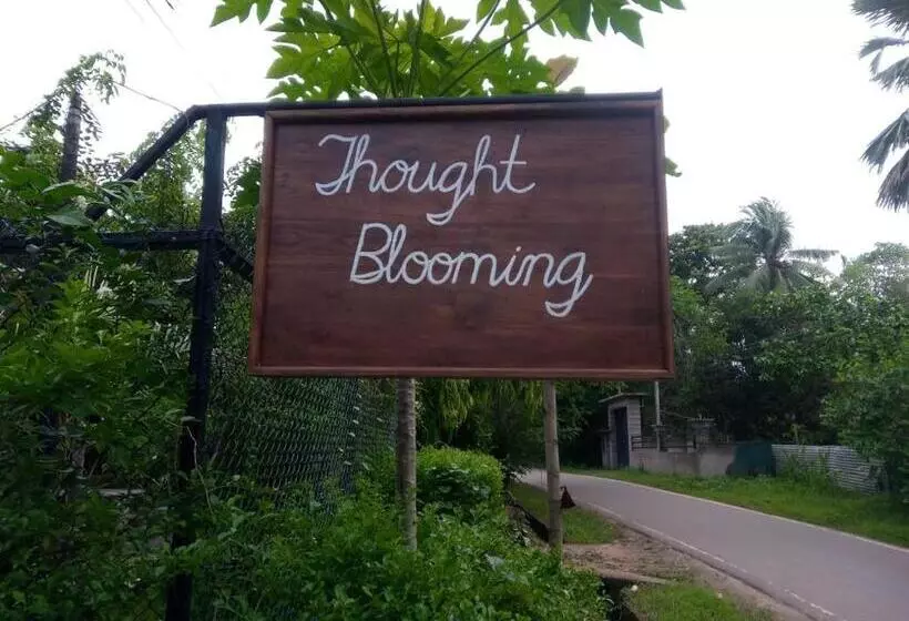Retkeilymaja Thought Blooming