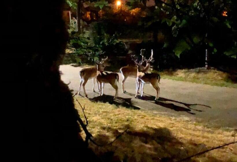 Bed and Breakfast Grandes Chambres Dans Un Corps De Ferme Rénové Du Château Du Piple, à 16km De Paris