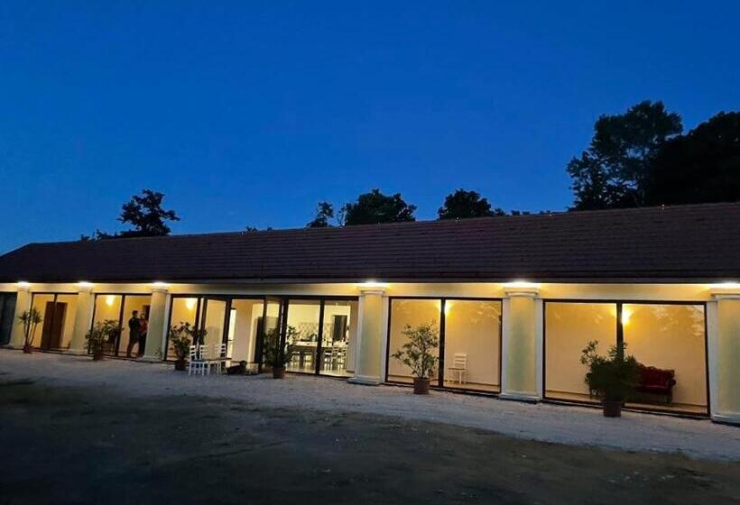 פנסיון Vitál Guesthouse