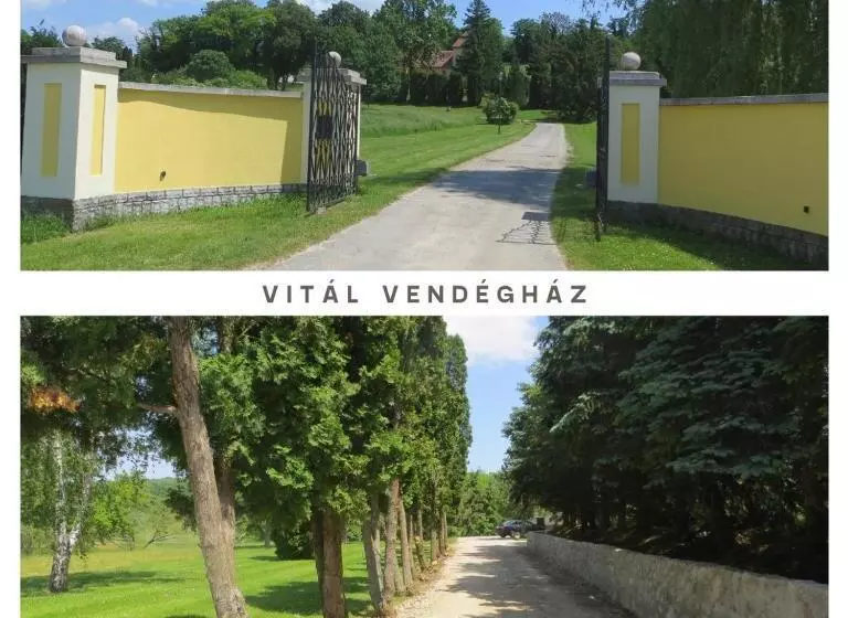 Majatalo Vitál Guesthouse