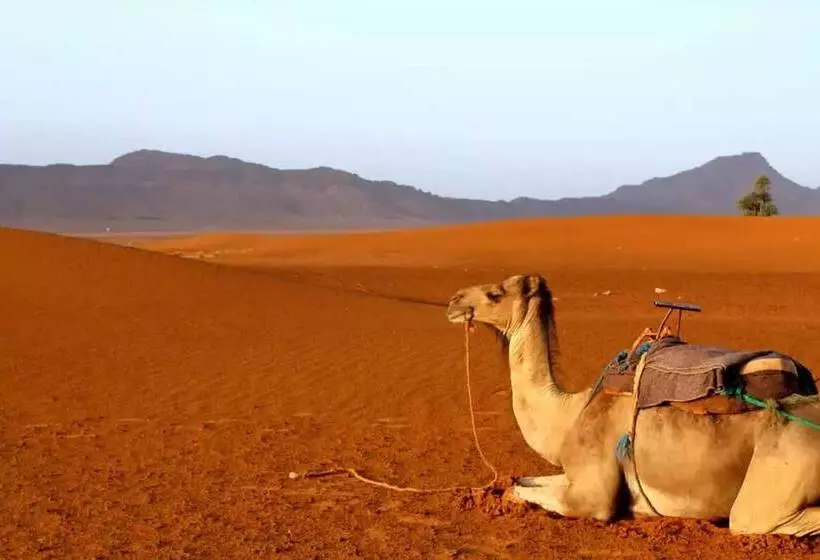 Riad La Fayette Bed & Breakfast