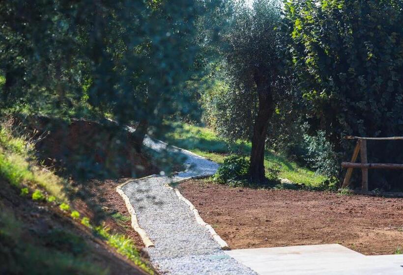 Отель Agriturismo Terra Volonteri