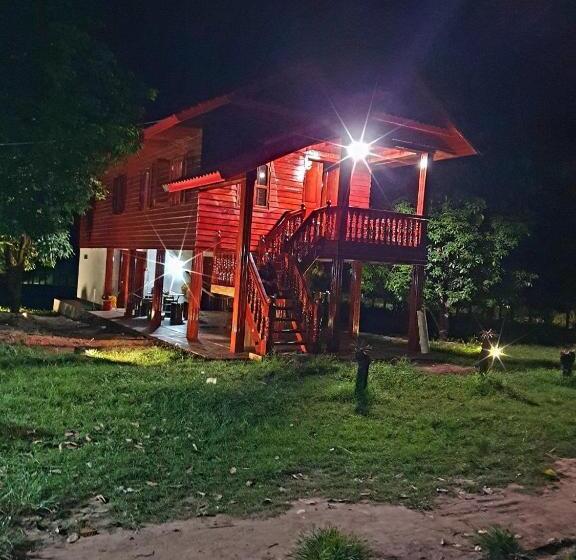 هتل Angkor Bird Nest Resort