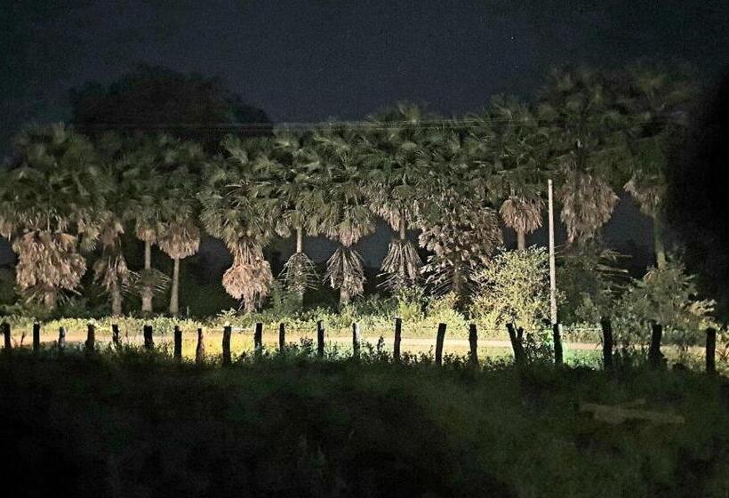 هتل Angkor Bird Nest Resort