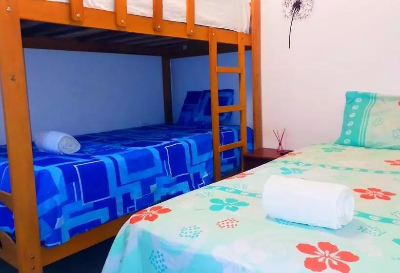 ホテル Hospedaje Josue   Paracas