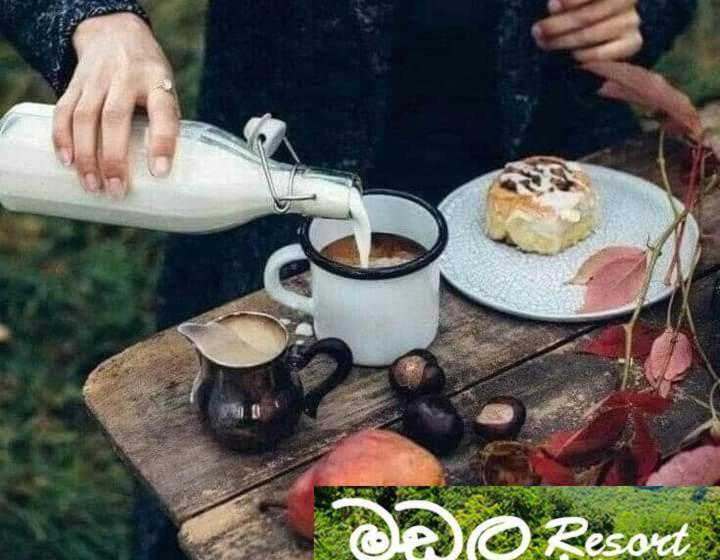 ホテル Madala Resort And Eco Hut