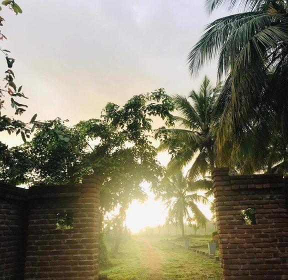 Hotel White Elephant Cabana