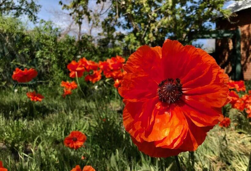 Pansy’s Parlor Bed & Breakfast
