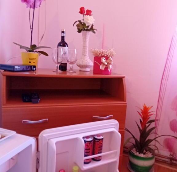 پانسیون Casa Dănuț