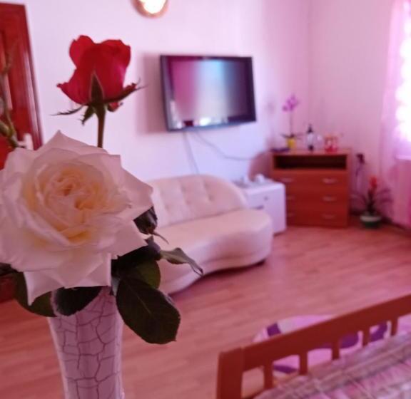 پانسیون Casa Dănuț