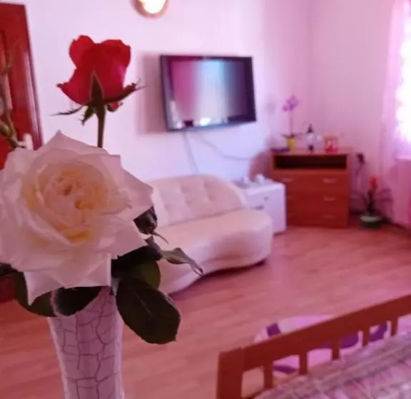 Majatalo Casa Dănuț