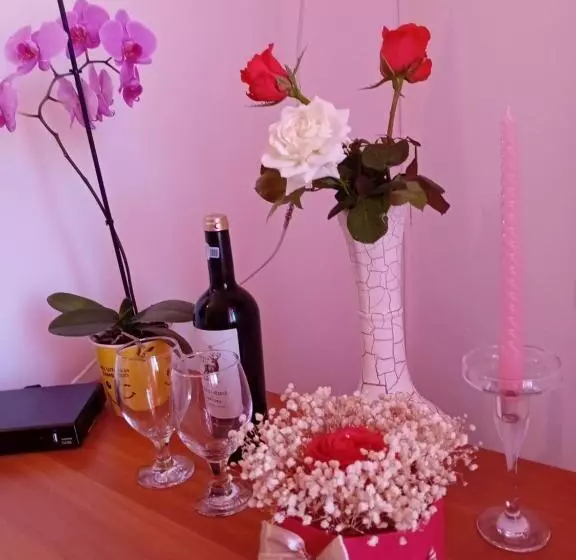 Majatalo Casa Dănuț