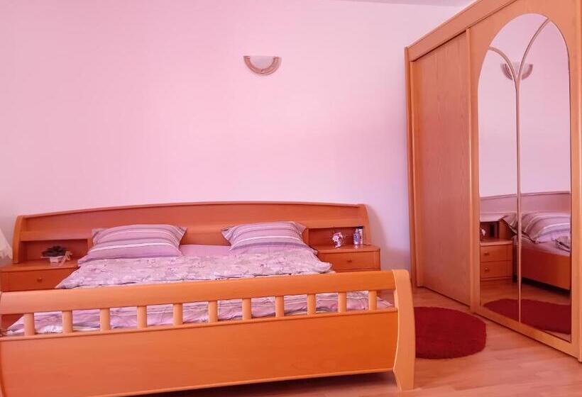 پانسیون Casa Dănuț