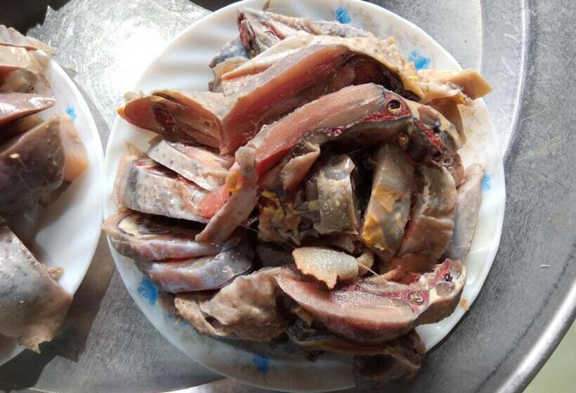 پانسیون Hoanuihomestay