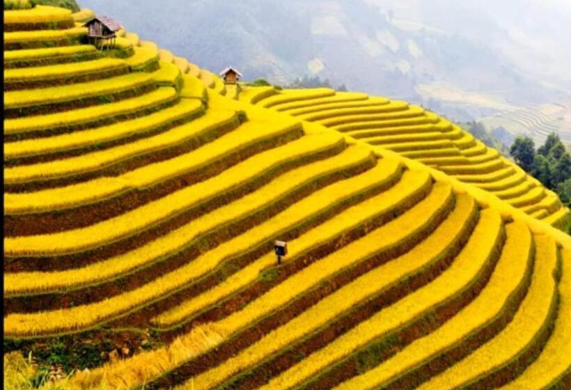 پانسیون Hoanuihomestay