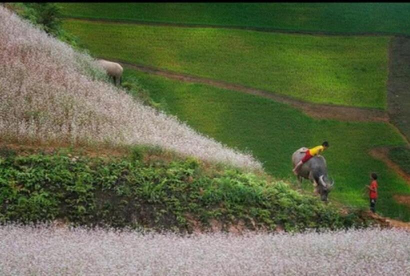 پانسیون Hoanuihomestay