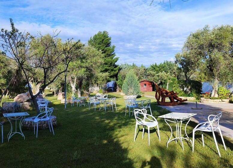 פנסיון Spazio 8x8