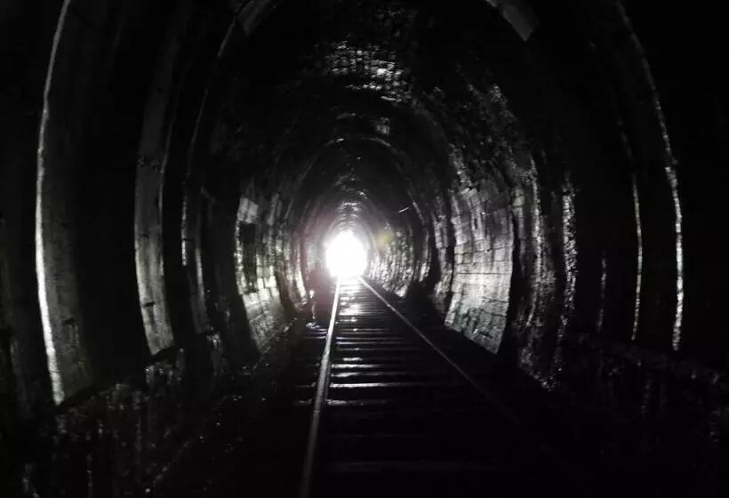 پانسیون Whistling Thrush Cottage