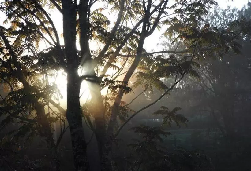 پانسیون Whistling Thrush Cottage