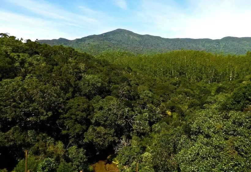 پانسیون Whistling Thrush Cottage
