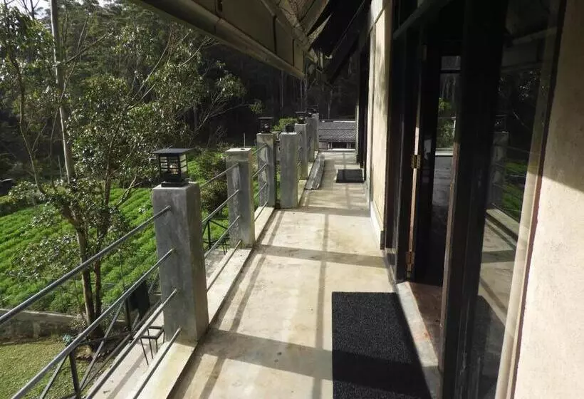 پانسیون Whistling Thrush Cottage