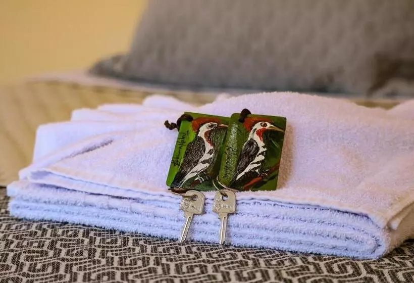 リゾートホテル Art Green Teresópolis