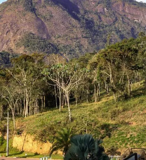 リゾートホテル Art Green Teresópolis