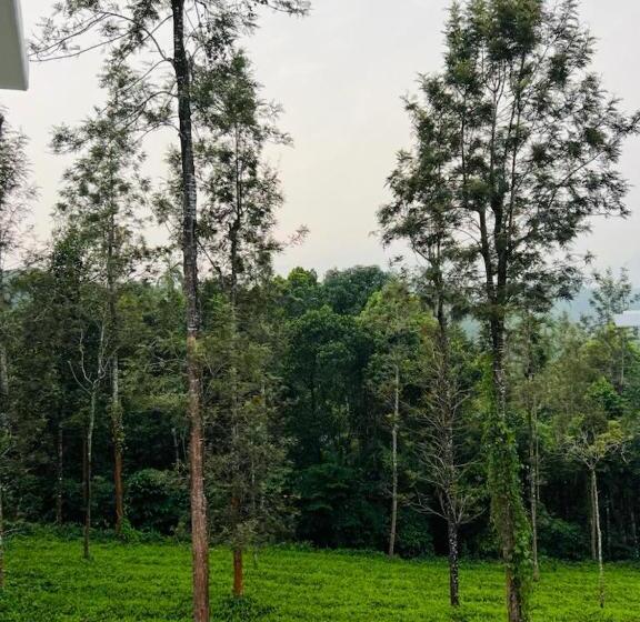 منتجع Pabis Luxurious Stay