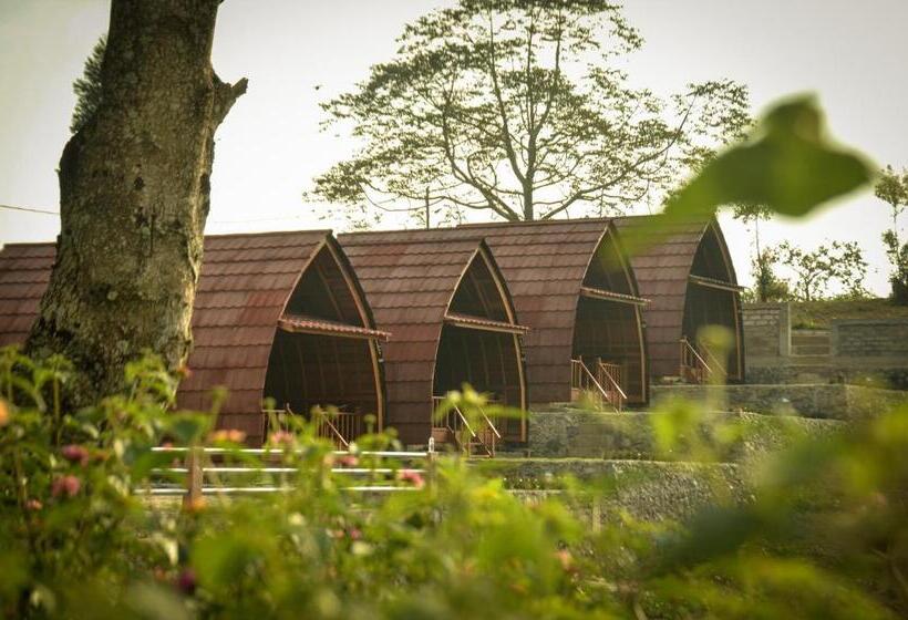 אתר נופש The Hills Kerinci