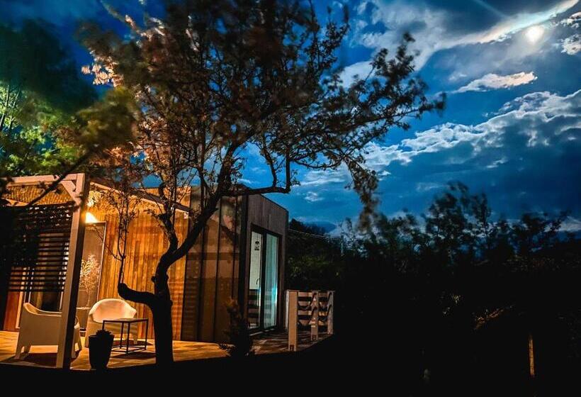 Aamiaismajoitus (B&B) Elysian Fields Tiny House Evergreen