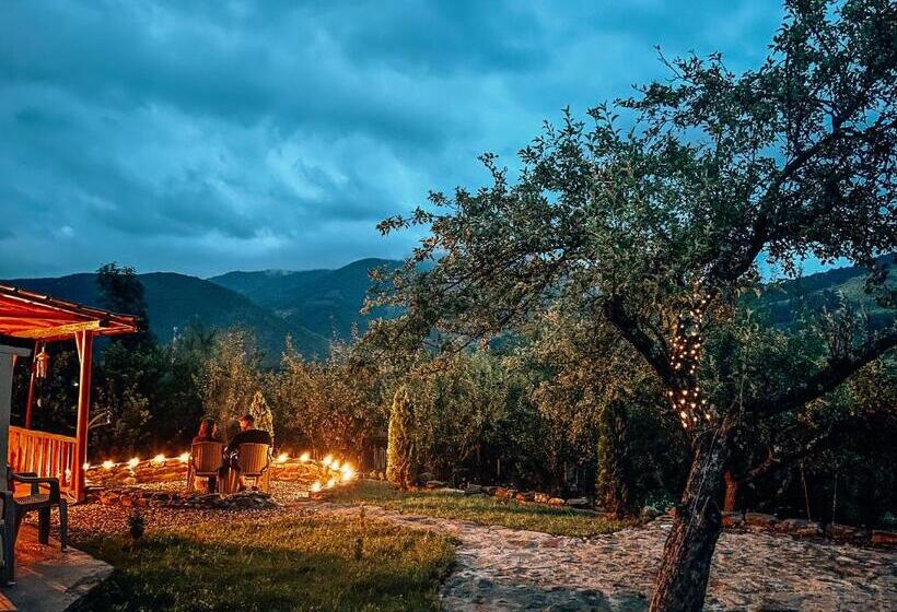 Bed and Breakfast Elysian Fields Tiny House Evergreen