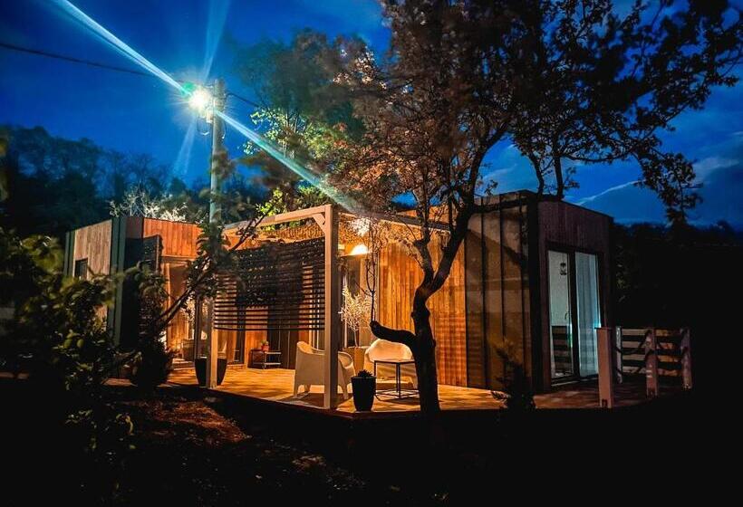 Aamiaismajoitus (B&B) Elysian Fields Tiny House Evergreen