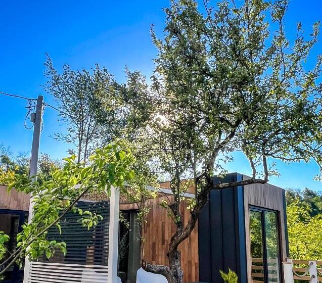 Bed and Breakfast Elysian Fields Tiny House Evergreen