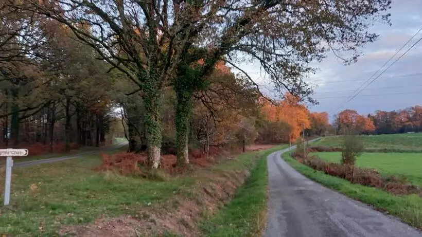 ベッドアンドブレックファースト La Mésange Bleue