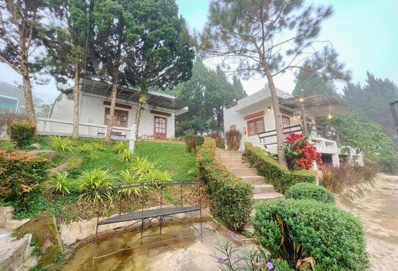 Hotel เนริสารีสอร์ท เขาค้อ