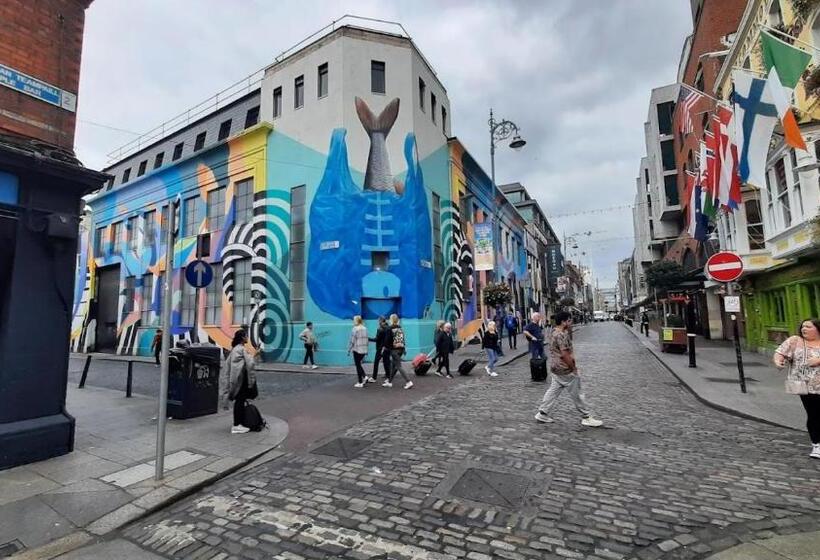 בית מלון כפרי The Auld Dubliner