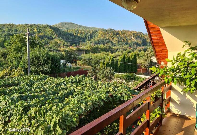 پانسیون Casa Lumi