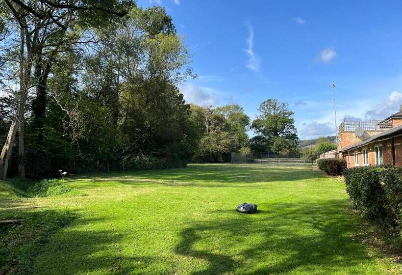 بنسيون Yu’s Guest House