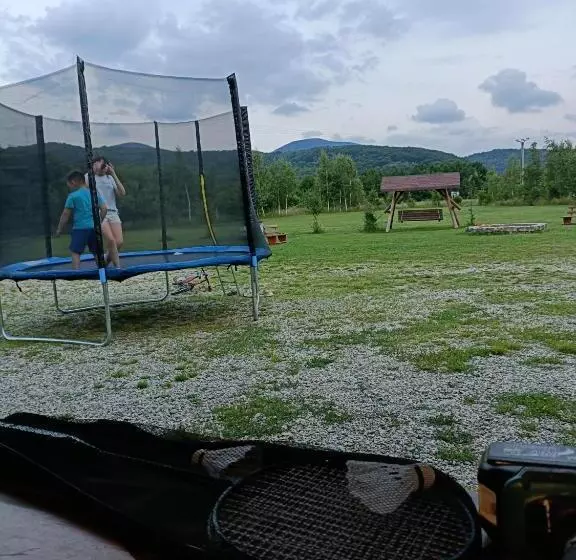 Pensiunea Crăișorul Muntelui