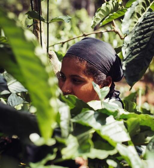 リゾートホテル Villa Wodeyarmutt By The River