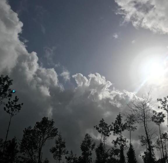 リゾートホテル Villa Wodeyarmutt By The River