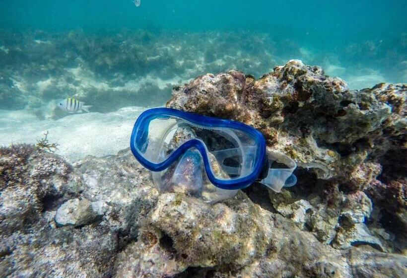 הוסטל Pousada Mar Bello