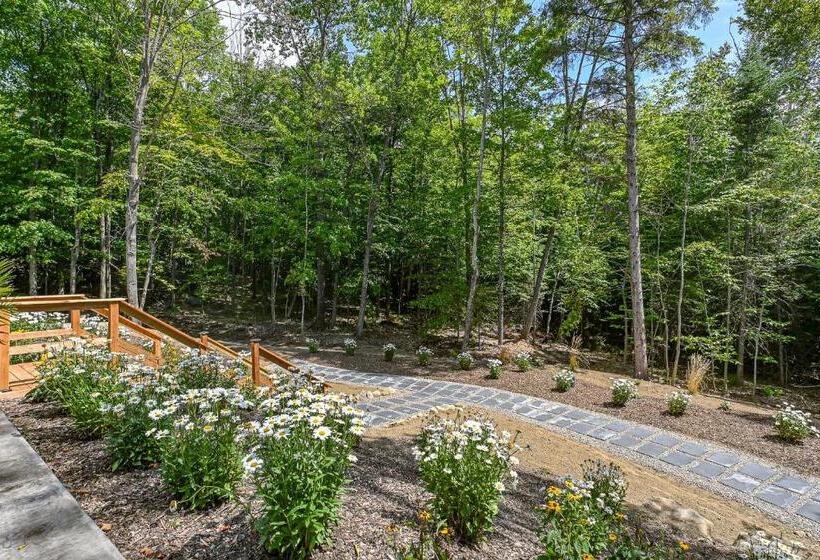 Aamiaismajoitus (B&B) La Colombe Des Montagnes Gîte