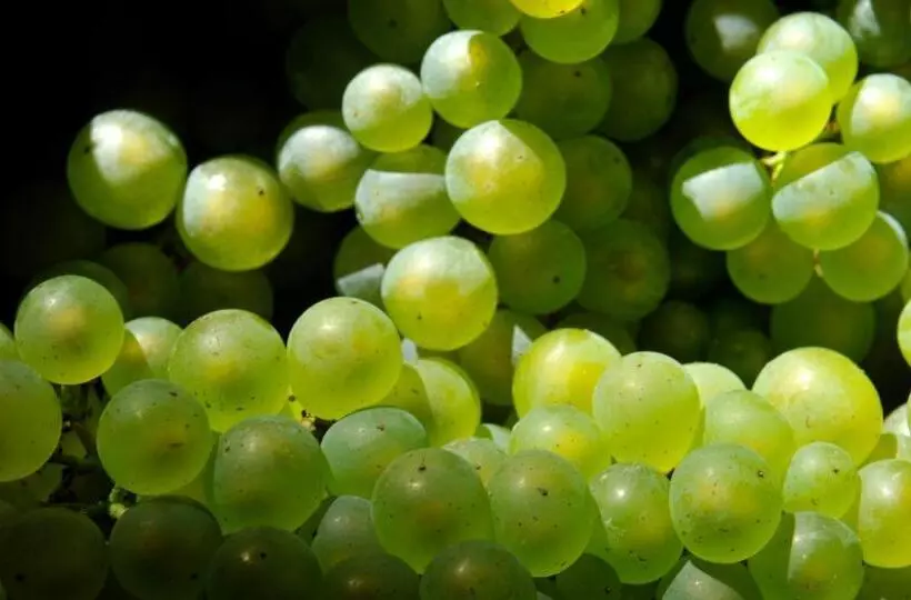 Cuvee J2 Hotel Osaka By Onko Chishin