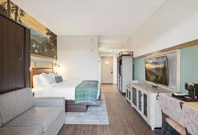 ホテル Dollywood S Heartsong Lodge & Resort