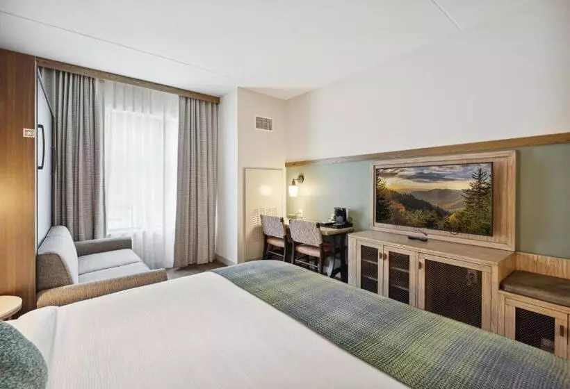 ホテル Dollywood S Heartsong Lodge & Resort