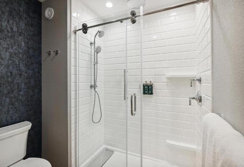 فندق Dollywood S Heartsong Lodge & Resort