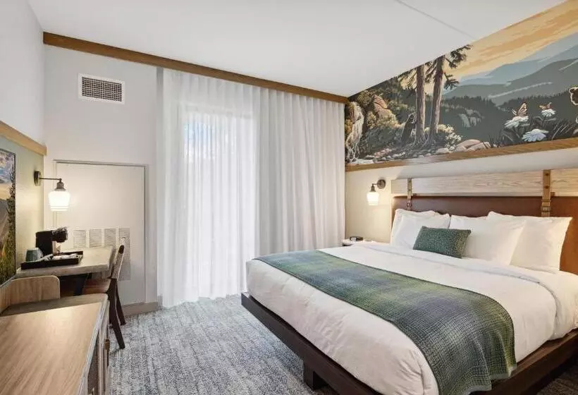 ホテル Dollywood S Heartsong Lodge & Resort
